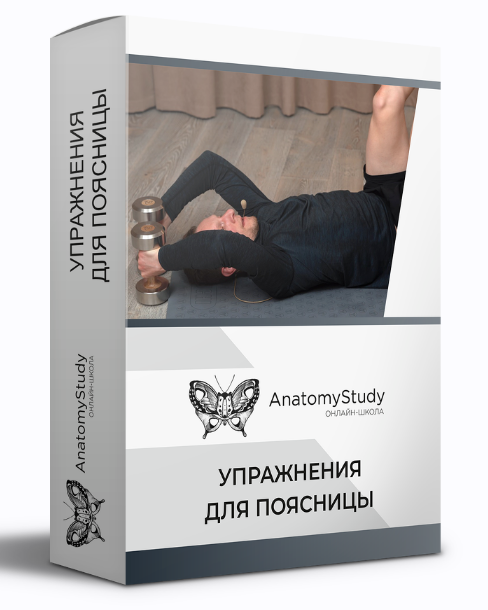 [Вадим Балюк] [Анатомия] Упражнения для поясницы (_0.png